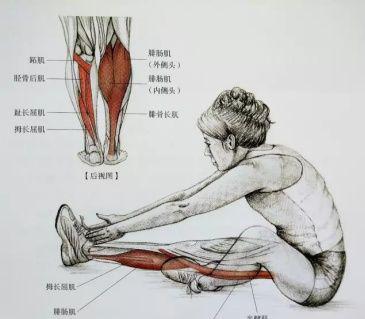 想要瘦腿又细又直的方法,想瘦腿的练起来