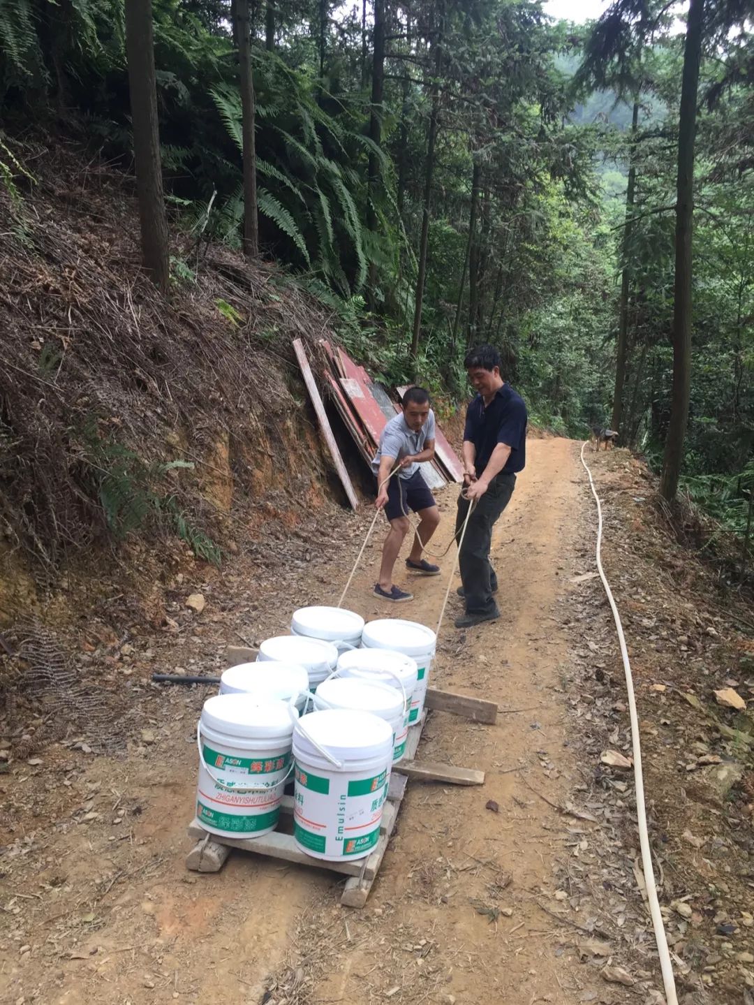 一家四口倾家荡产在山里造房隐居：3年零收入，坚持不通车