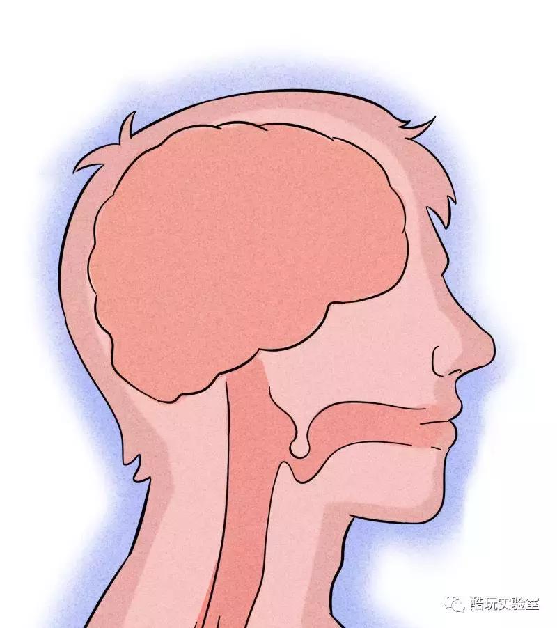 吃太多的糖会让你变胖,让你变丑变老的不是脂肪而是糖