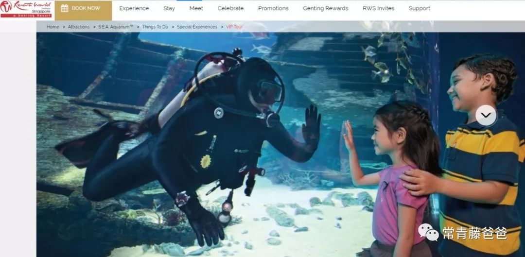 十一新加坡,十一游学新加坡