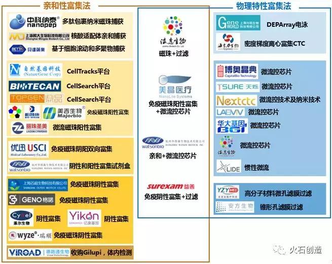 循环肿瘤细胞捕获方法的研究进展,扩增型循环肿瘤细胞检测数值高