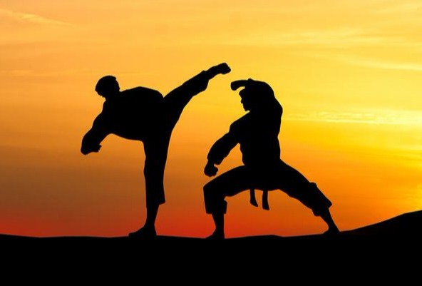 张锡纯单味药物治大病,老中医张锡纯药方