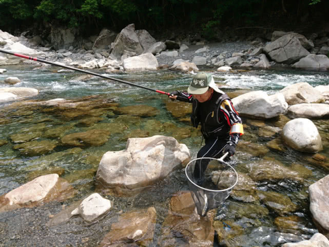 日本最好吃的几种鱼,日本最好吃的鱼有哪些
