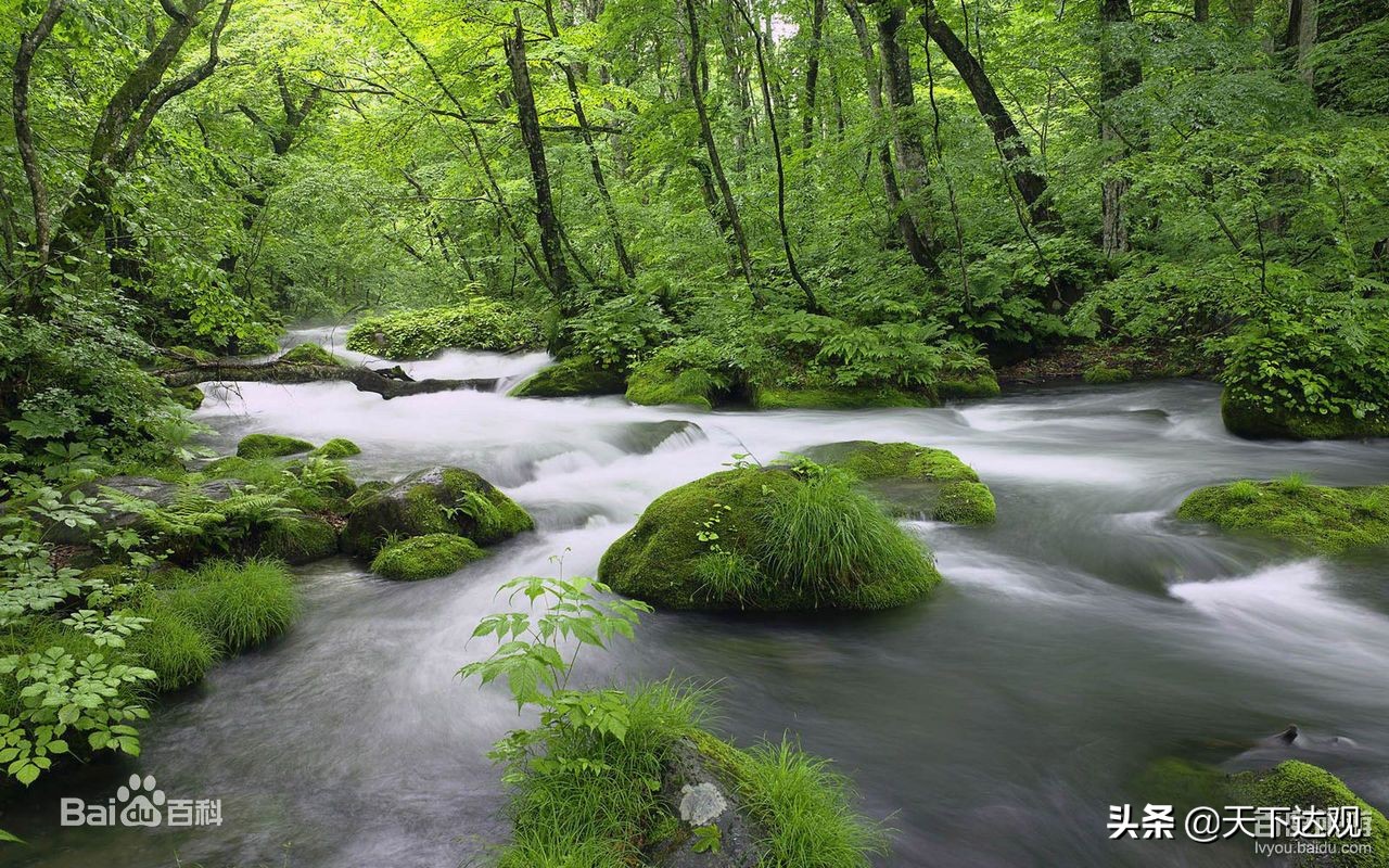 日本秋田县三大特产,秋田县