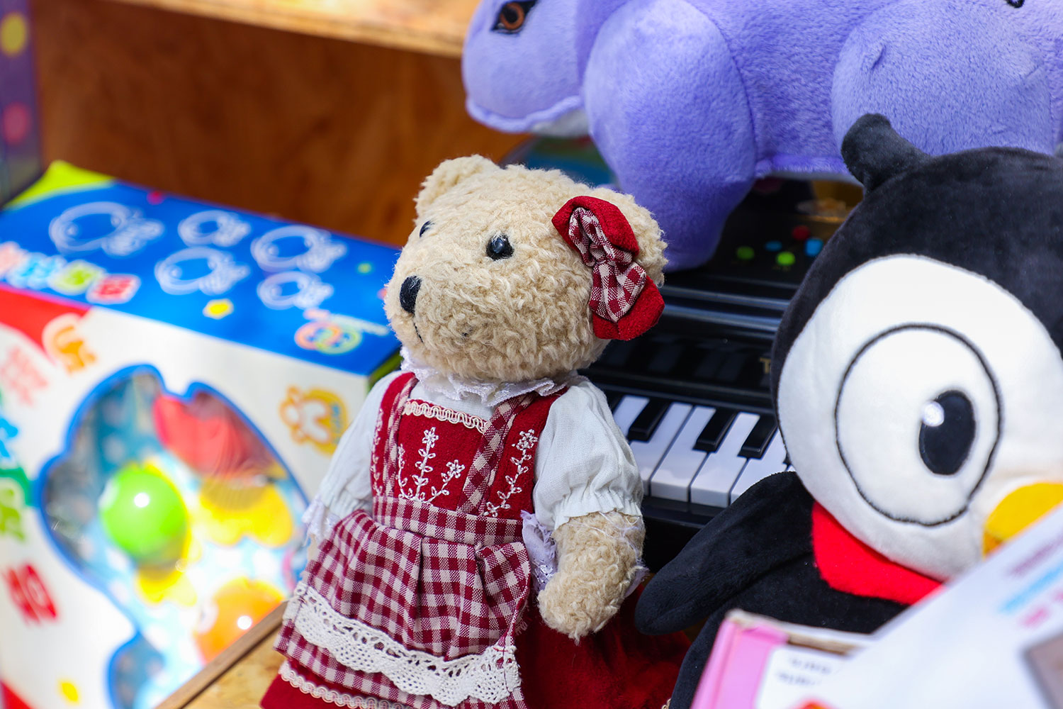 为地球发声保护野生动物,为地球环境发声