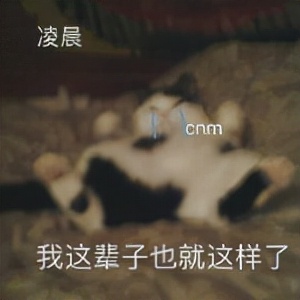 汽车安装真皮座椅会有什么后果,汽车加装真皮座椅的危害