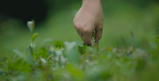 快用完的洗面奶,真正有效的清洁毛孔的洗面奶