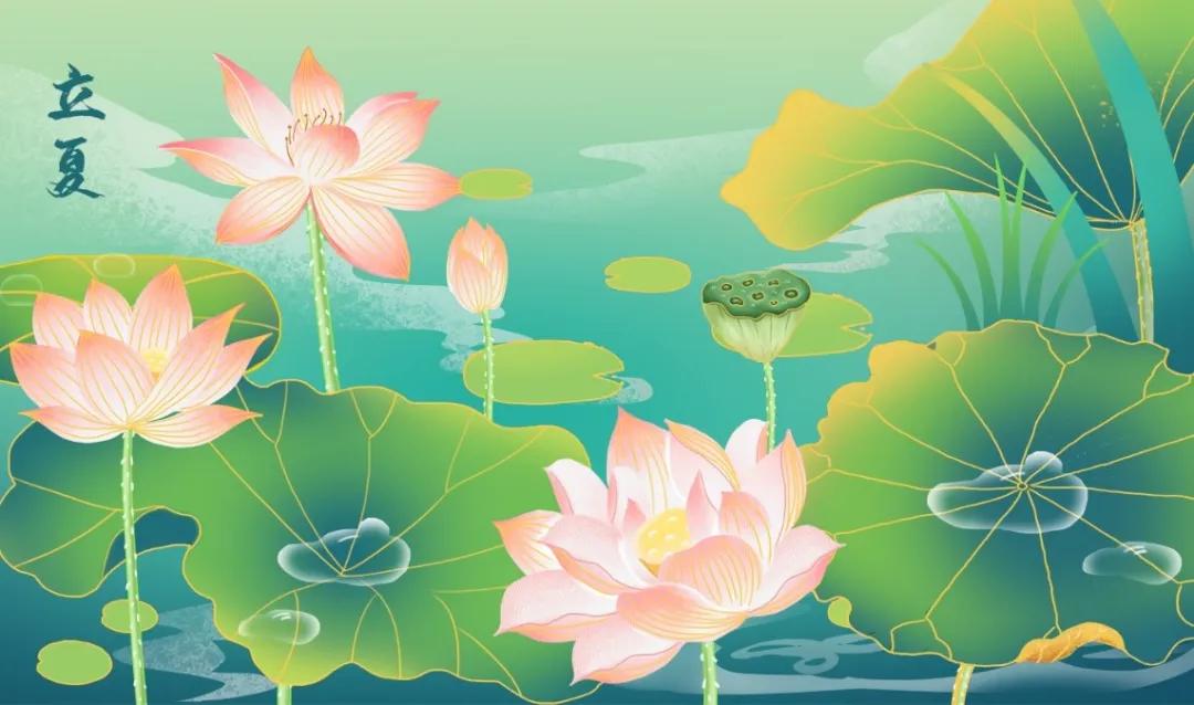 积累夏天的好词好段,描写夏天的好词好句好段和唐诗