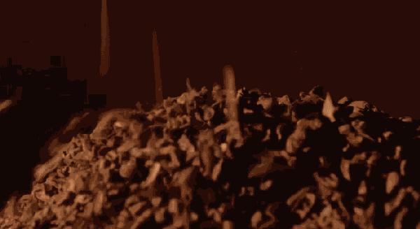 日销5000盒，天天断货！刷爆魔都吃货圈的曲奇，现在免费请你吃！