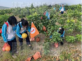 福清古镇推荐,福清旅游景点打卡地推荐