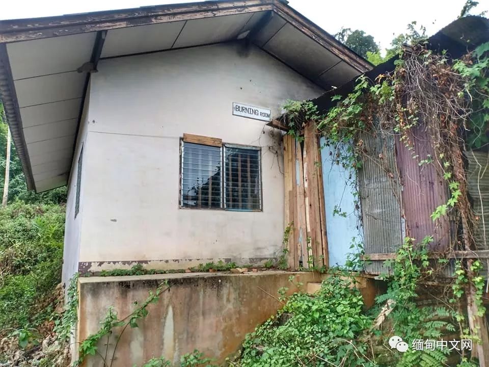 坤沙是怎么当上金三角老大的,金三角大毒枭坤沙传奇的一生