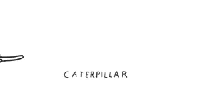 人少还免门票！深圳这片5000000㎡新公园美翻了，“神仙花谷”