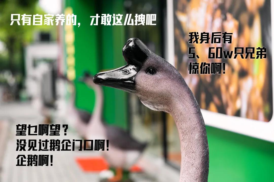 醉鹅老广,广州老字号醉鹅