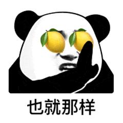 天津工业大学，拥有最多“大长腿”