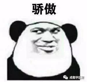 青羊二区与青羊三区学区房怎么选,青羊三区学区和青羊四区学区