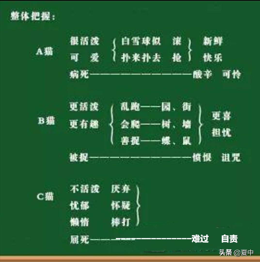 肖家芸的思辨作文课,特级教师窦桂梅教学实录