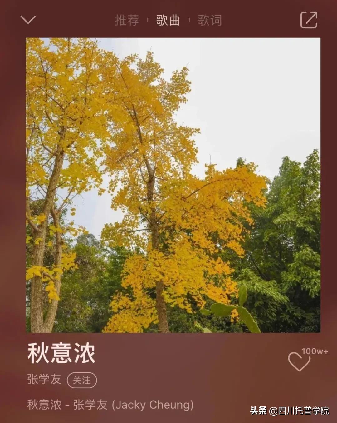 四川托普学院唱歌,四川托普学院里的歌