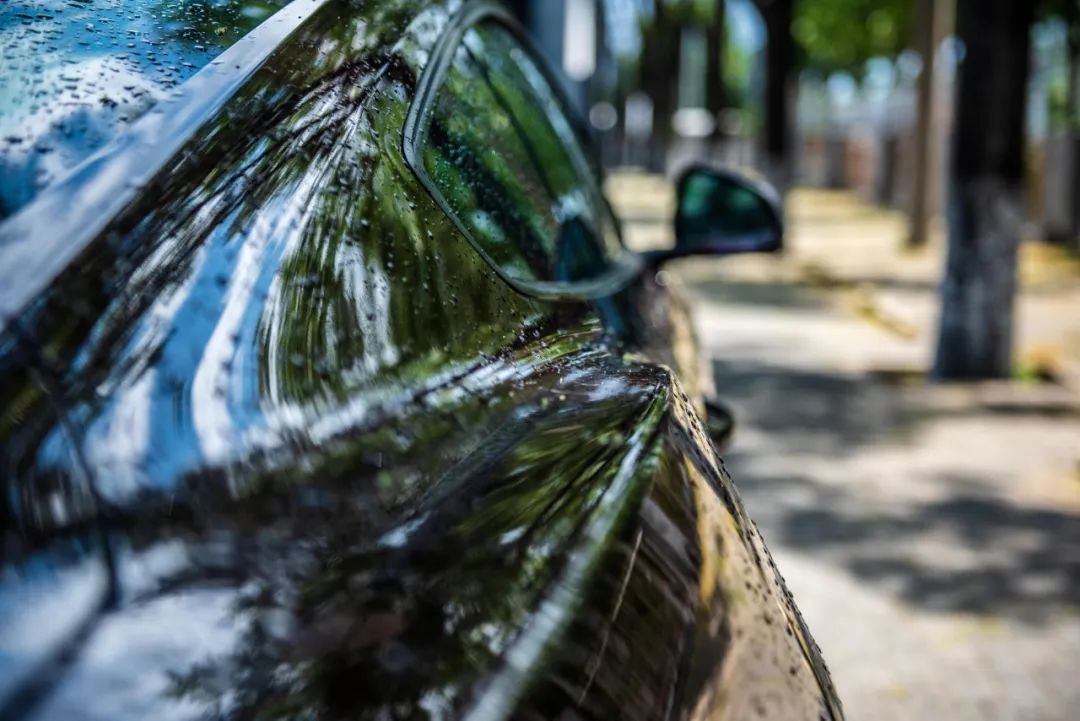 野马2.3t被叫野驴,野马2.3t小野驴