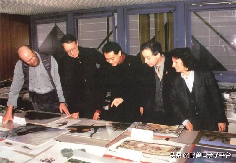 读小库系列书如何,读小库书怎么样