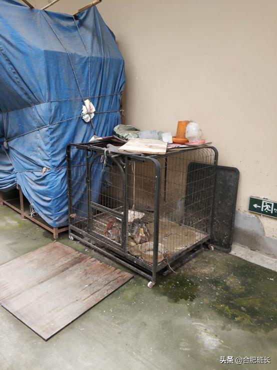 投资200亿的合肥京商商贸城现状如何？班长实地探访京商