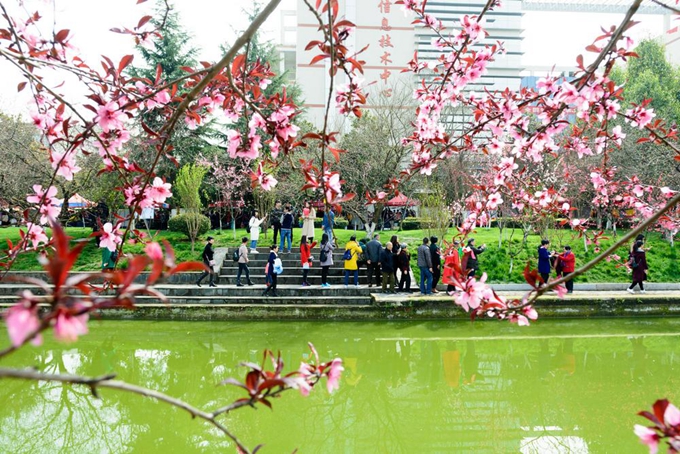 三峡大学的王牌专业录取分数线,宜昌市三峡大学属于哪个区