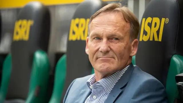 致敬多特蒙德骄傲的大黄蜂,多特蒙德大有逆袭之势