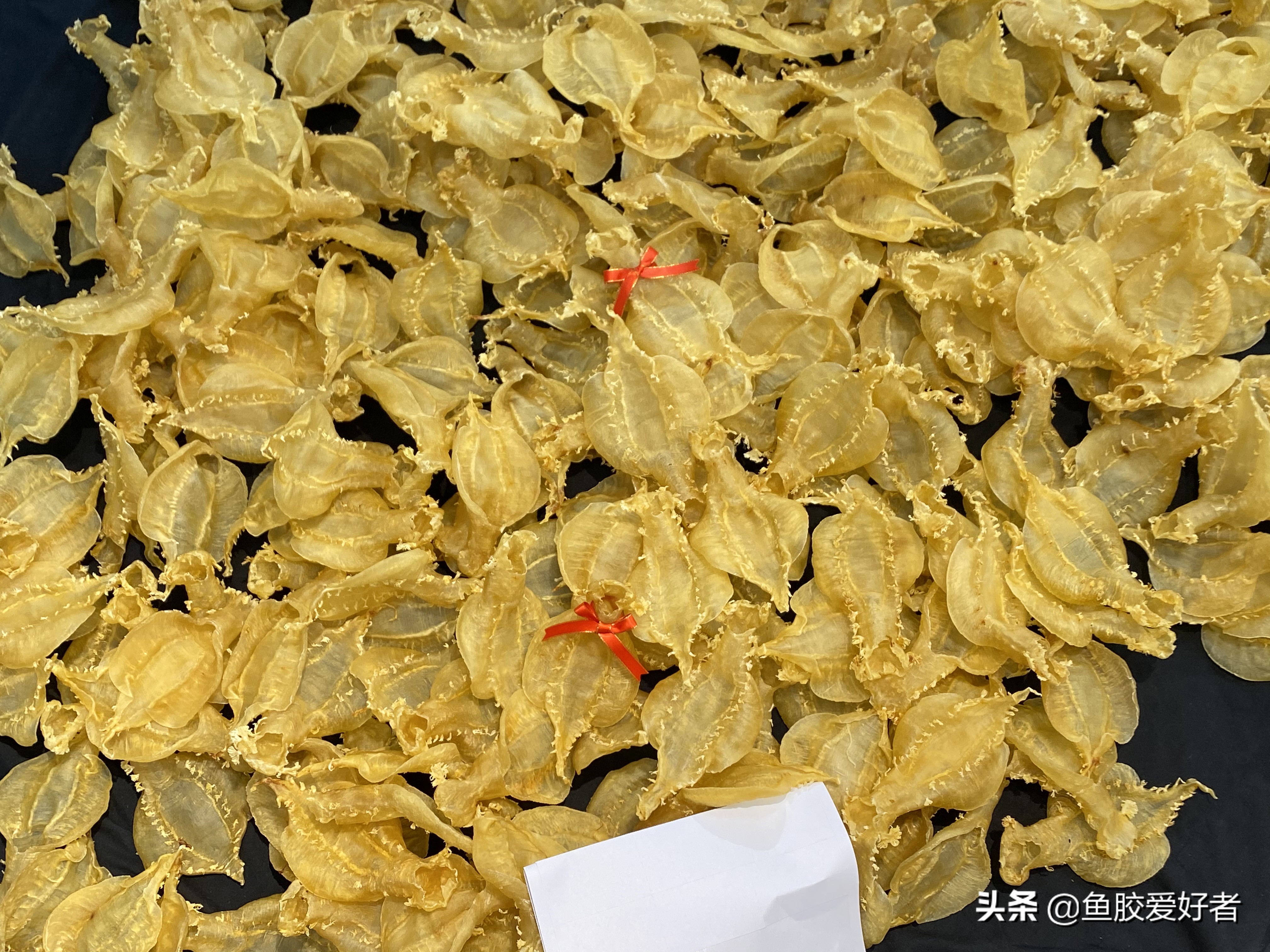 怎么买鱼胶不踩坑,怎么购买鱼胶最好