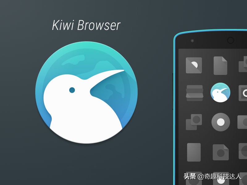 手机能装扩展的浏览器,手机浏览器哪个支持扩展