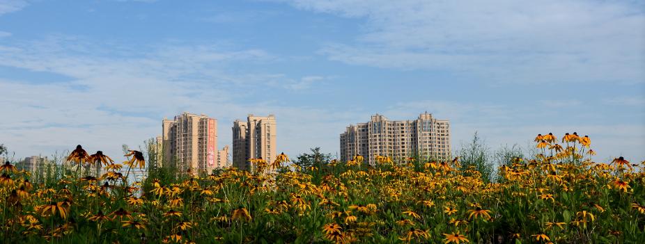 红光新城西安市,红光新城