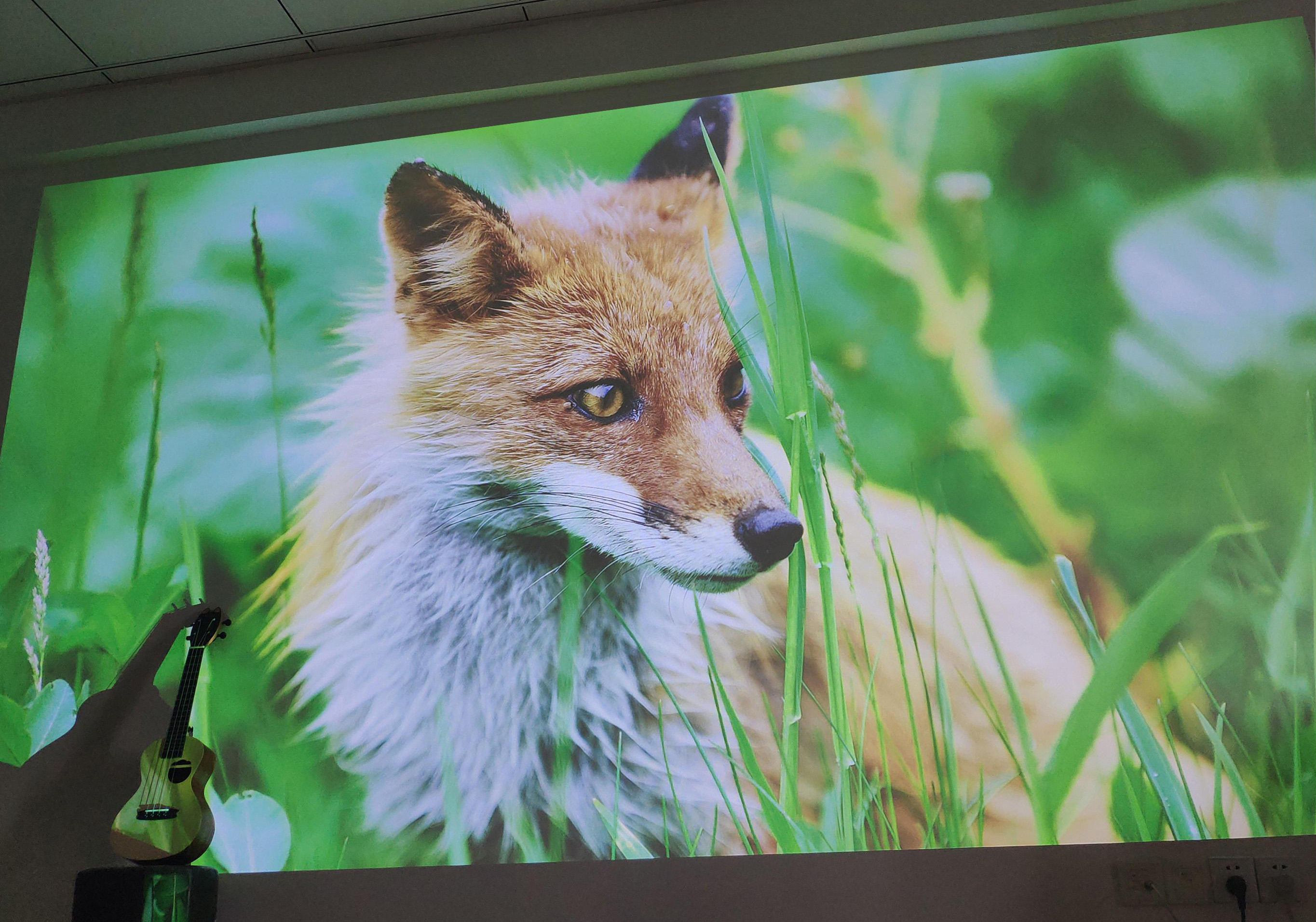 激光电视值不值得买,买激光电视的后悔吗