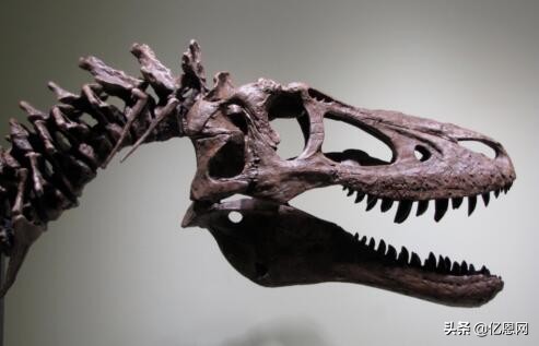 鎭愰緳鍖栫煶鍗栧,ebay鎭愰緳鍖栫煶