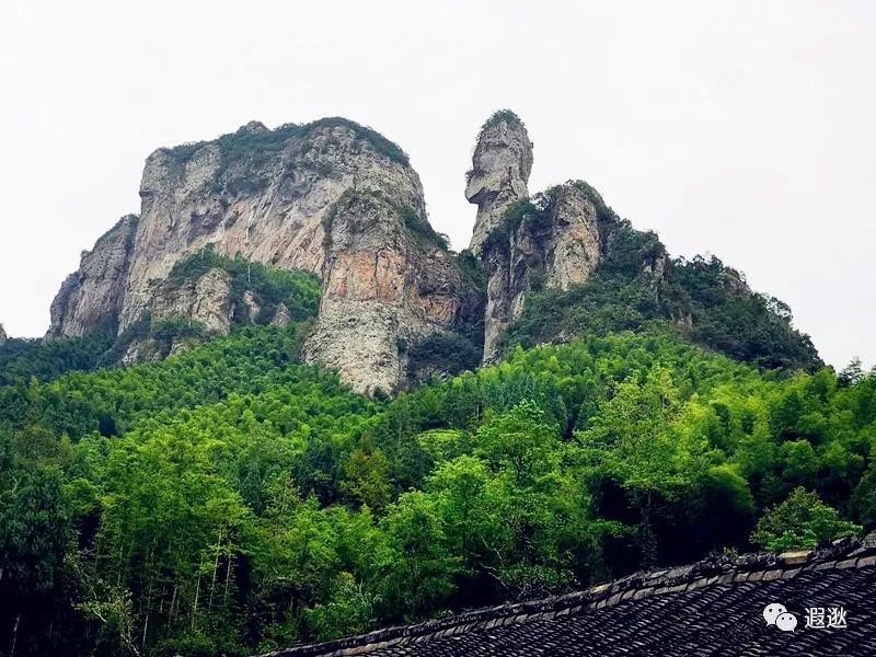 乐清仙溪有哪里好玩的 (乐清仙溪镇景点)
