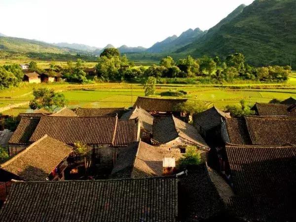 川西彩林自驾风景,川西三大草原绝美自驾游
