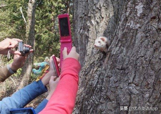 讽刺与幽默：你知道老美是怎么调侃他们的乡下人的吗？