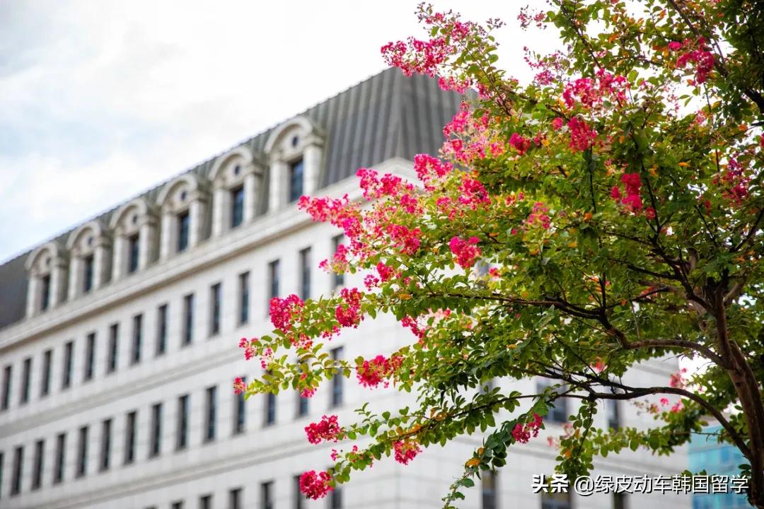 给外国来华留学生的建议,给外国人来中国的留学生的建议