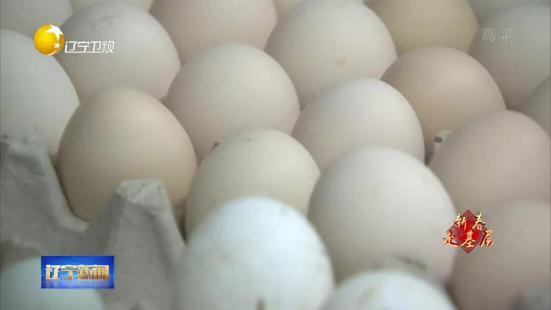 新春走基层逛大集买年货,新春走基层河北年货大集年味儿浓