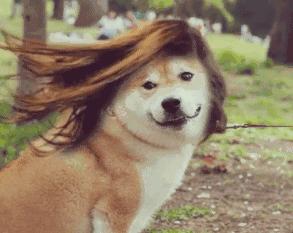 人每时每刻都在脱发吗,大多数人脱发的原因