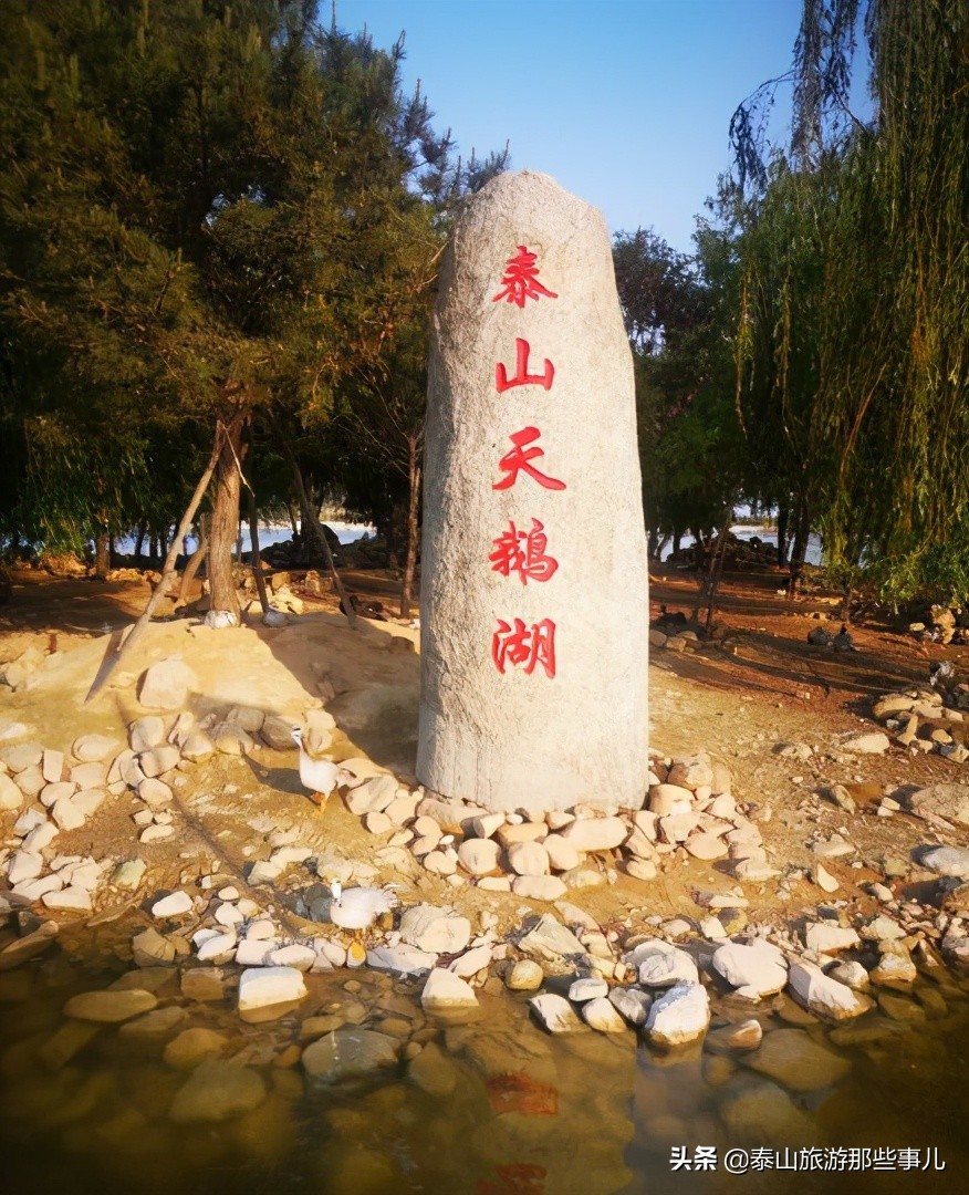 安泰壹号,值得玩的周边野生动物园