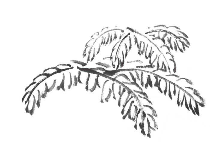 树画简单初学者教程,树画不好看了怎么改