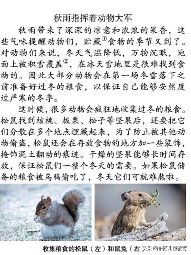 培训班被封杀，语文在家辅导做点啥？这位名师的建议给我很大启发