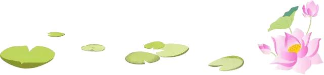 看荷塘月色的视频,看夏日荷塘美景