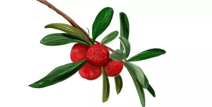 闽南人有多懂吃,闽南人吃好吃的