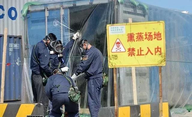 专家说风险第四十五期——木质包装熏蒸处理的不当，小心被退关