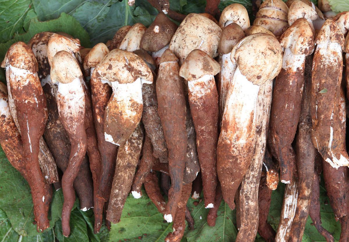 火锅店有4000多会员要怎么使用呢,火锅店办理会员具体操作方法