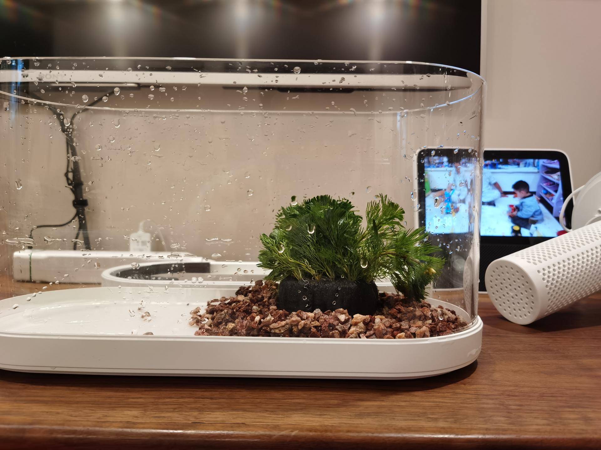 画法几何智能鱼缸开缸,画法几何最新智能模块化鱼缸评测