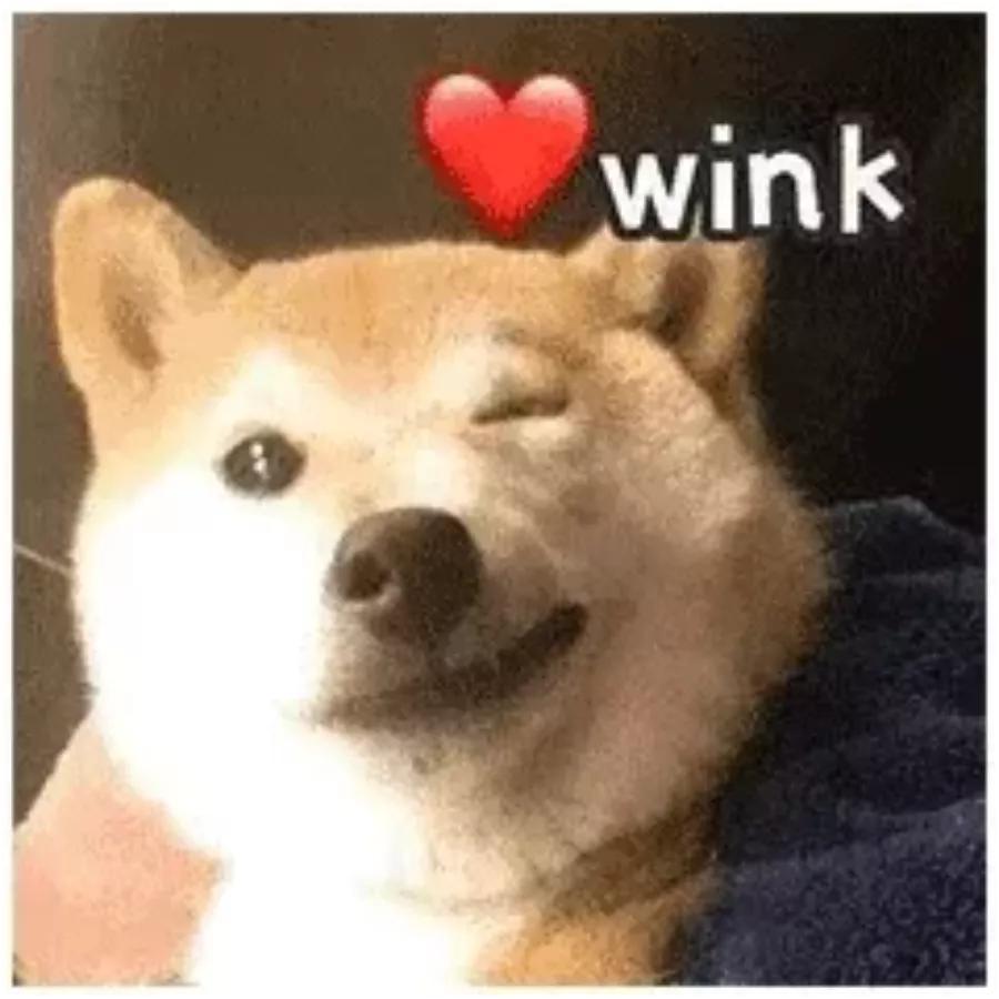 台式电脑总是死机什么原因,电脑经常死机画面卡住不动