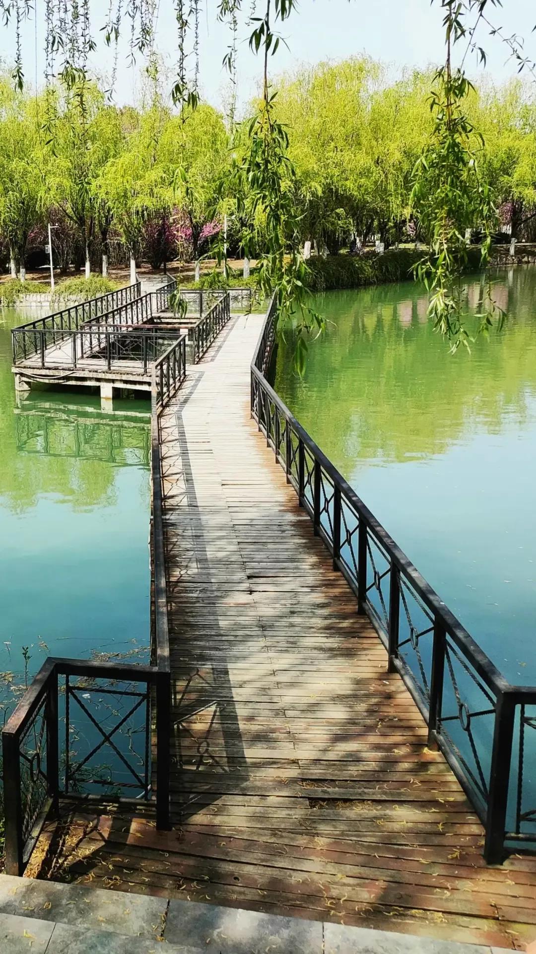 淮南师范学院在安徽排名,淮南师范学院安徽省排名