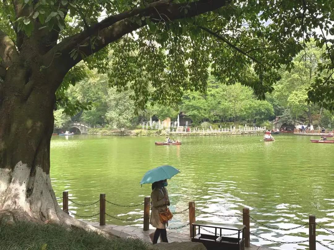 成都公园运营模式,成都公园维护成本