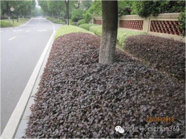 园林景观交付前十三道评估项,园林交付评估细节有哪些