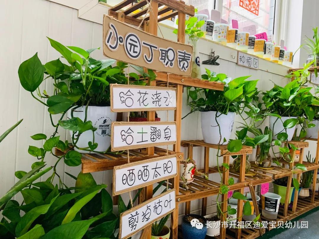 诺亚舟幼儿园,诺亚舟幼儿园里欢乐多